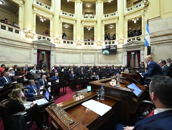 El veto de Javier Milei a la emergencia en discapacidad se cayó en el Senado. El veto de Javier Milei a la emergencia en discapacidad se cayó en el Senado.