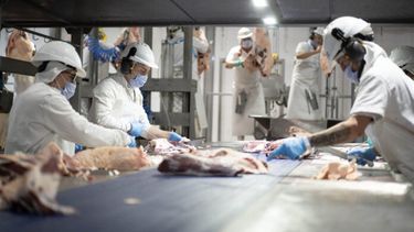 Desplome de la industrias manufactureras pyme en febrero. - Xinhua -