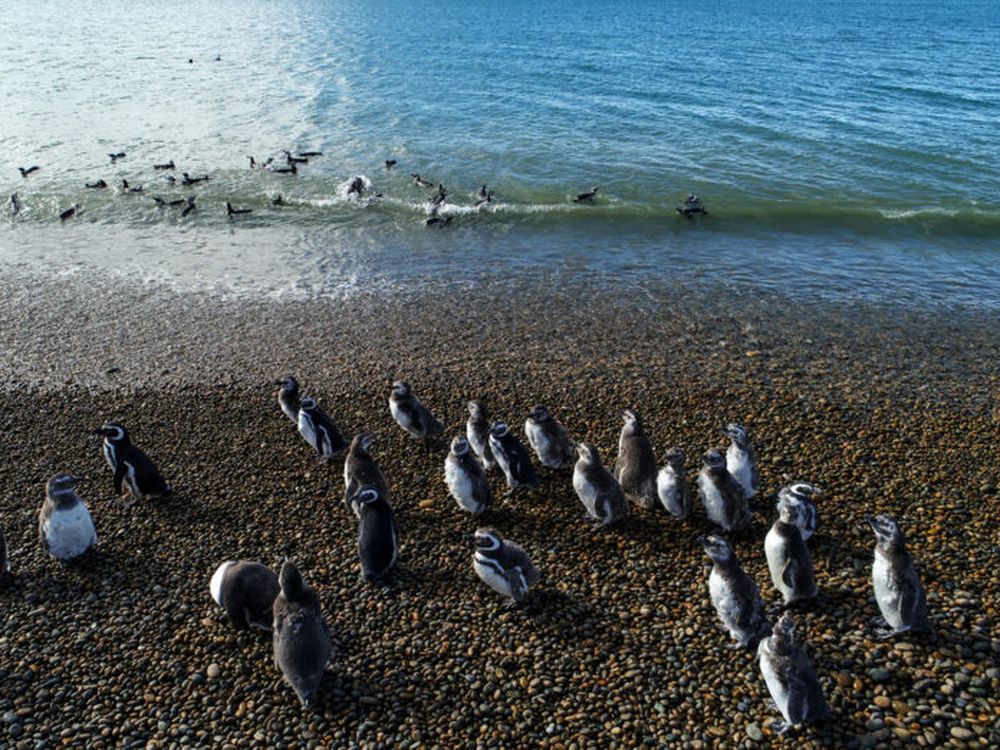 El Parque Nacional Monte León en Santa Cruz.