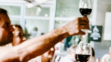Diarios Bonaerenses | Personas haciendo un brindis. (pexels.com/Julia Kuzenkov)