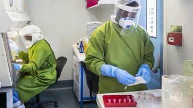 Científicos trabajando en un laboratorio con pruebas virales.&nbsp;