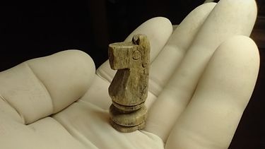 El caballo hallado donde las fuerzas criollas esperaban a la flota anglo-francesa en la Vuelta de Obligado. El caballo hallado donde las fuerzas criollas esperaban a la flota anglo-francesa en la Vuelta de Obligado.