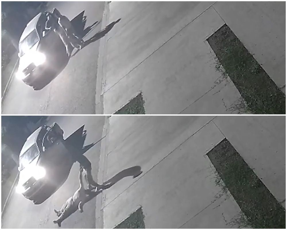 El momento en el que el muchacho llega en la camioneta e increpa al otro joven, para golpearlo y dejarlo inconsciente en el piso. (Imágenes de cámaras de seguridad)&nbsp;