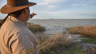 areas naturales protegidas bonaerenses: laguna salada grande