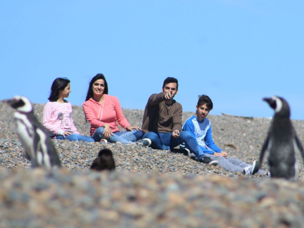 El avistaje de pingüinos en Puerto Madryn.&nbsp;