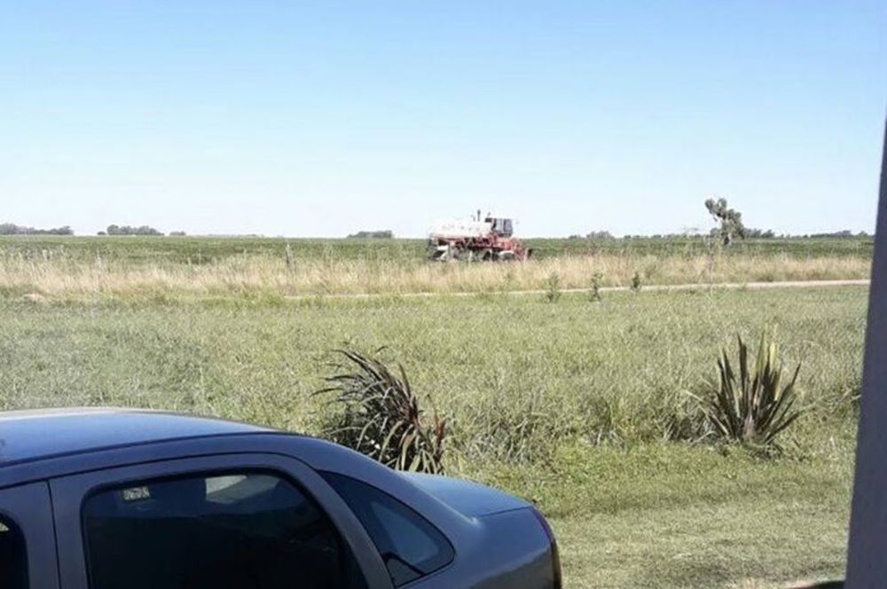 Una calle separa las zonas fumigadas de los domicilios de las personas afectadas. (Fiscalía Federal de Pehuajó)