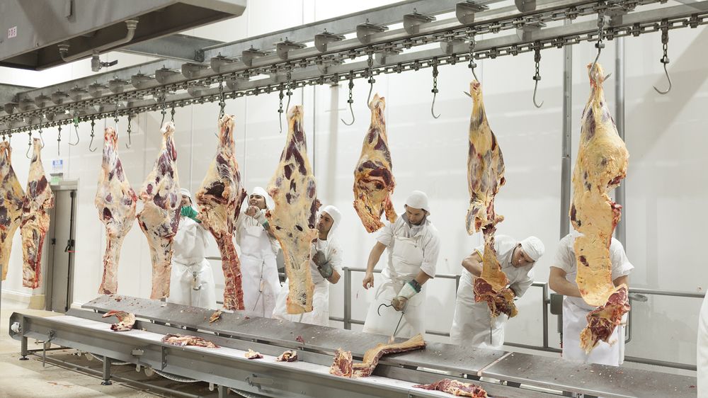 La faena otra vez en la mira.&nbsp;