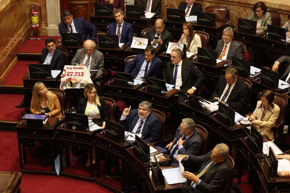 El senado durante el debate por las universidades y la pediatría.&nbsp;
