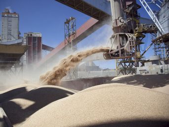 La carga de harina de soja para exportar. (DIB/Archivo) La carga de harina de soja para exportar. (DIB/Archivo)