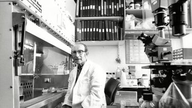 César Milstein marcó un antes y un después para el diagnóstico y el tratamiento de un sinfín de enfermedades.