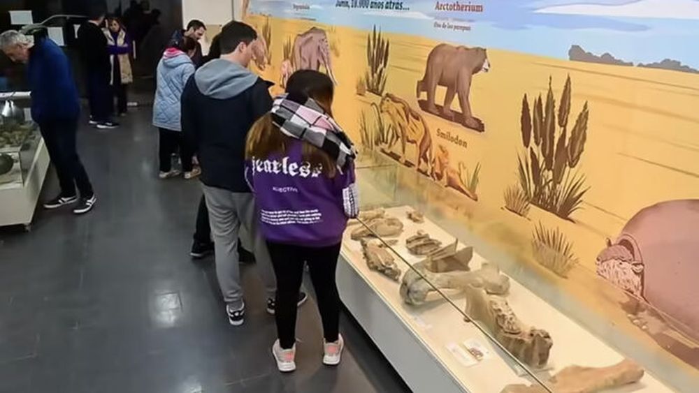 El Museo Paleontológico municipal de Junín (Mumpa). - La Verdad -