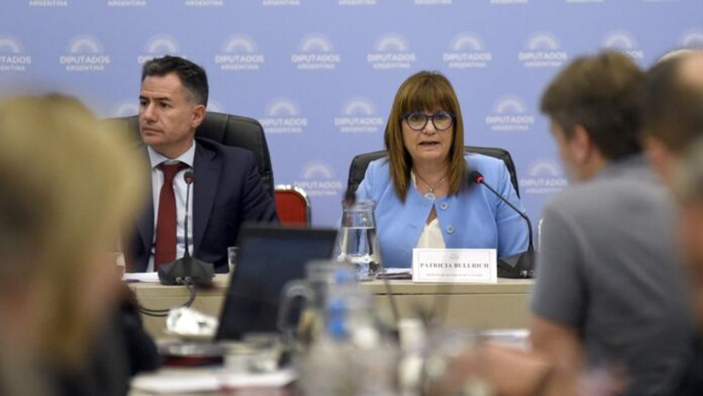 La ministra de Seguridad, Patricia Bullrich, en el plenario de comisiones de Diputados. (Foto: Presidencia de la Nación).