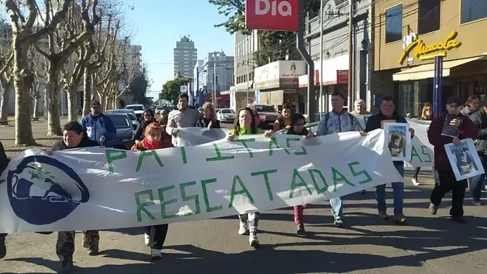 Reclamo de justicia en las calles de Sierra Chica por el envenenamiento de animales. - InfoEme -