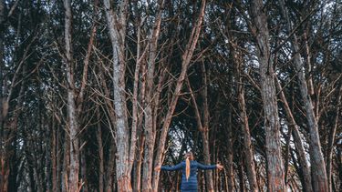 El Bosque Energético es uno de los grandes atractivos de la ciudad de Miramar. (Subsecretaría de Turismo PBA)