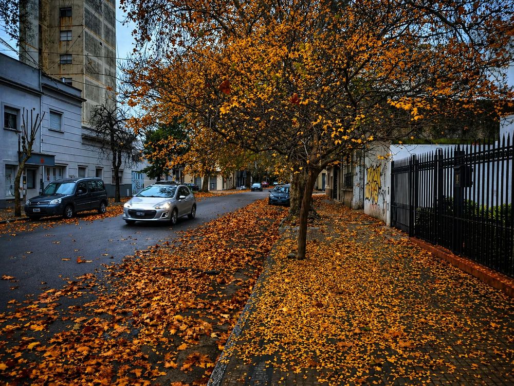Con el otoño llegan los primeros fríos y las primeras preocupaciones.