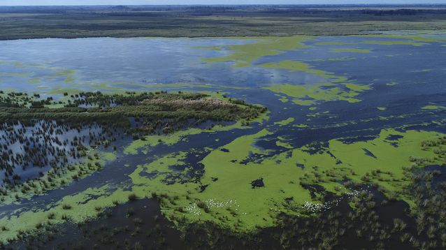 La magia del Delta bonaerense.&nbsp;