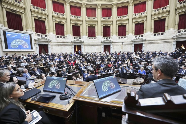 En sesión especial, Diputados rechazó los vetos del Ejecutivo a las leyes de financiamiento en pediatría y a las universidades nacionales. (Congreso Nacional)