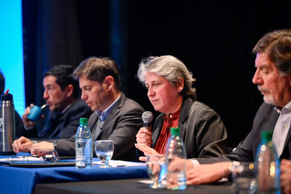 Flavia Terigi, la elegida para Educación.&nbsp;