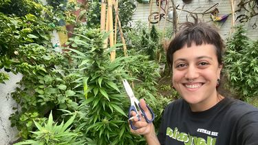 La industria del cannabis necesita previsibilidad financiera, reglas claras y estrategias de exportación, afirma Jimena Oviedo