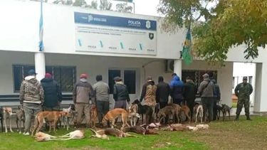 Los hombres detenidos por caza furtiva en Chascomús. Con ellos, los 24 galgos.