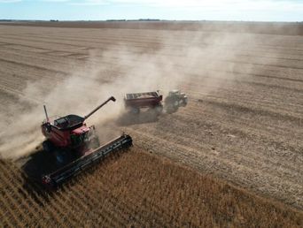 La soja alcanza precios de otras épocas.