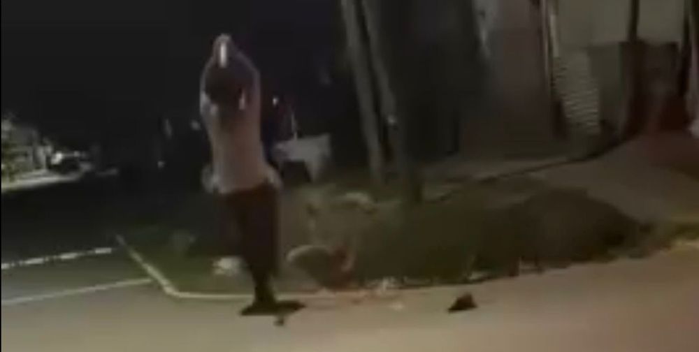 El video donde el sobrino ataca a su tío con un bate, en Pilar.