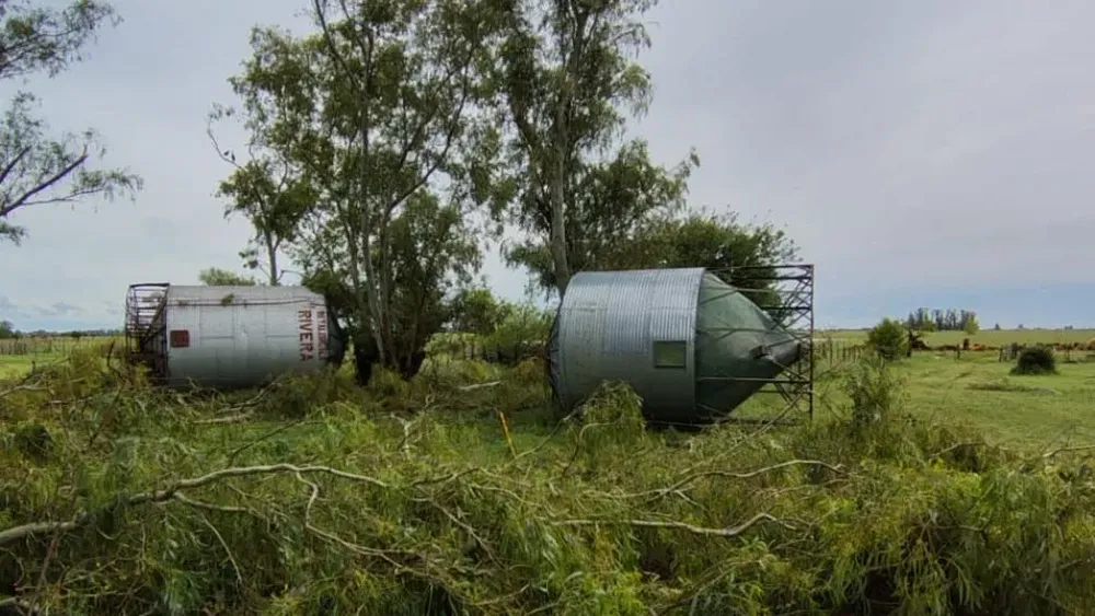 Silos caídos en la zona rural de Urdampilleta. Silos caídos en la zona rural de Urdampilleta.