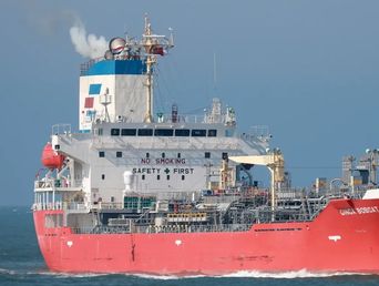 El buque tanque Ginga Bobcat habría provocado la colisión en el puerto de Campana. El buque tanque Ginga Bobcat habría provocado la colisión en el puerto de Campana.