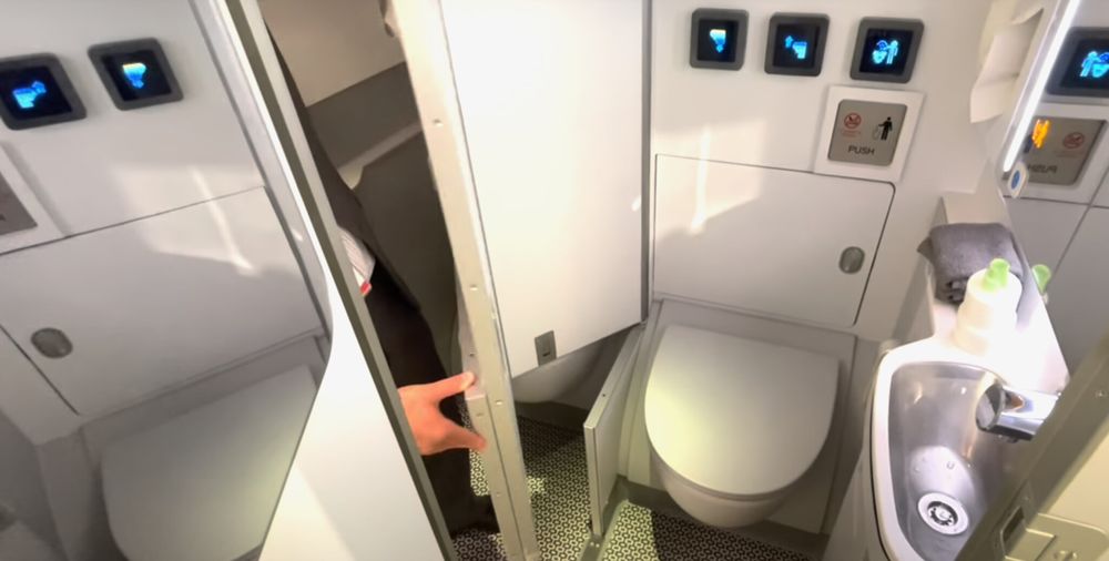 Un gesto cotidiano en pleno vuelo: lo que se descarta en los baños de los aviones permitió a la ciencia detectar superbacterias resistentes