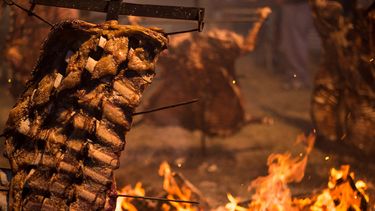 fin de semana con tradicion, cerveza, maratones, ostras, cultura japonesa y tortitas negras