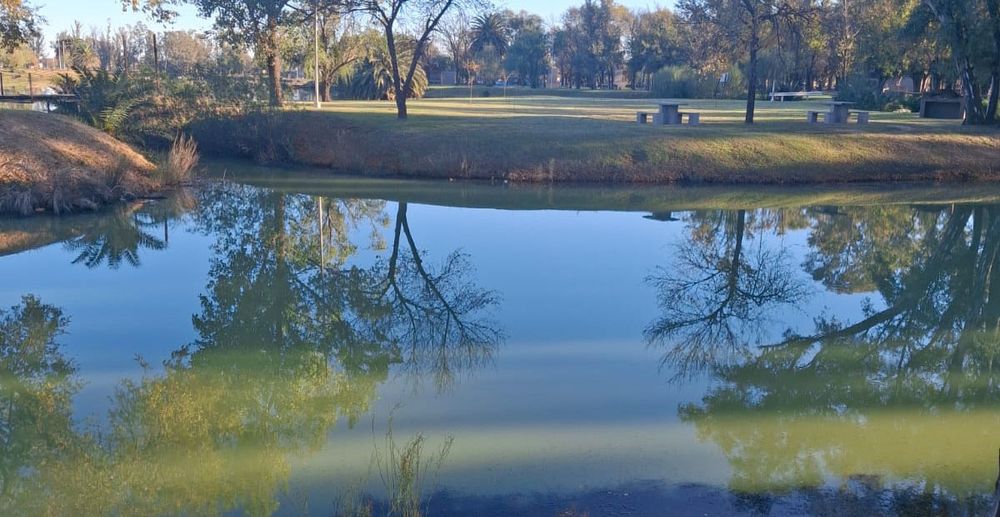 Mortandad de peces en la laguna del Parque de General Villegas.