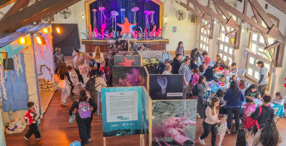 Más de 75 mil personas ya pasaron por la expo Vidas Submarinas.