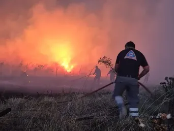 mar del plata: hay mas de 200 hectareas consumidas por incendios mar del plata: hay mas de 200 hectareas consumidas por incendios