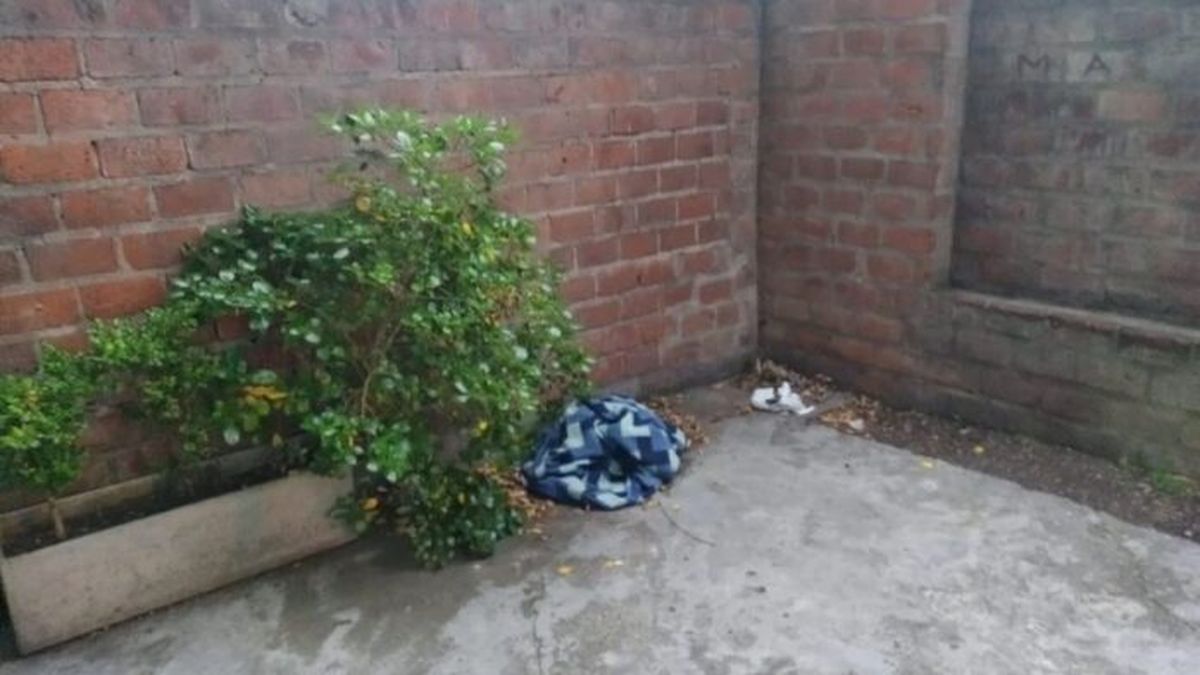 Mar del Plata: encuentran asesinado en la puerta de un colegio a un ...