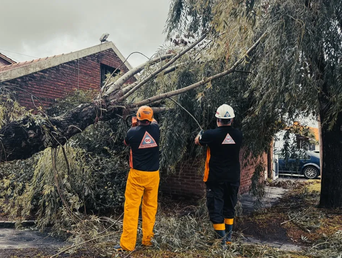 Los fuertes vientos pueden provocar caídas de árboles e interrupción de servicios. Los fuertes vientos pueden provocar caídas de árboles e interrupción de servicios.