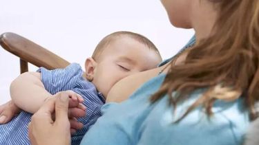 Si el estado clínico de la madre con dengue lo permite, se recomienda que no corte la lactancia.