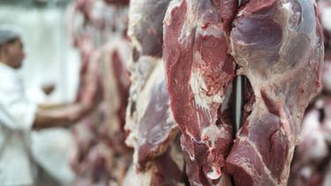 Un trabajador en un frigorífico.