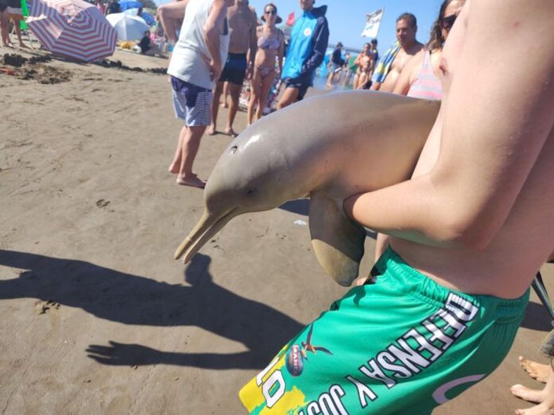 Una de las imágenes compartidas por la usuaria Lorena Cervetto en el grupo de Facebook “Todos por Mar del Tuyú”.