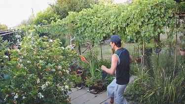 balcarce: salia a robar con la tobillera electronica y perdio el beneficio de la prision domiciliaria