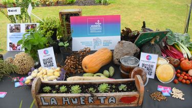 El Programa Huerta Urbana ya entregó más de un millón y medio de plantines desde su implementación en 2024.