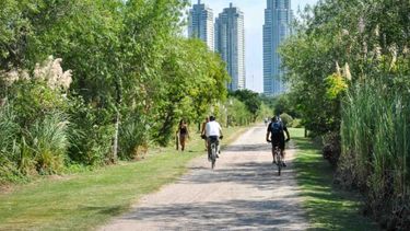 La Reserva Ecológica Costanera Sur.