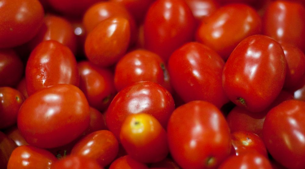 Varias provincias argentinas producen tomate.