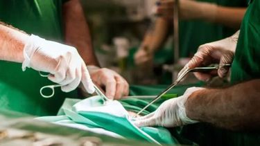 Alrededor de 1.200 trasplantes renales se realizan gracias a donantes cadavéricos y los demás, unos 400, se obtienen de un donante vivo.