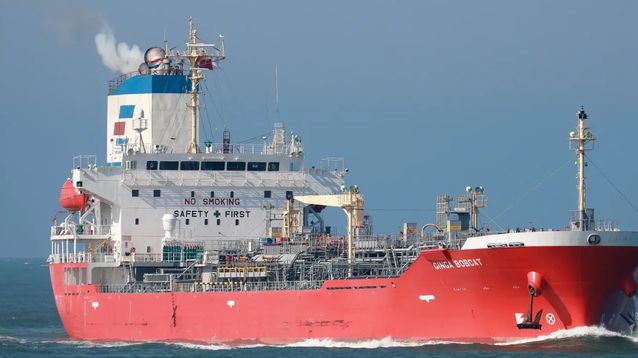 El buque tanque Ginga Bobcat habría provocado la colisión en el puerto de Campana.
