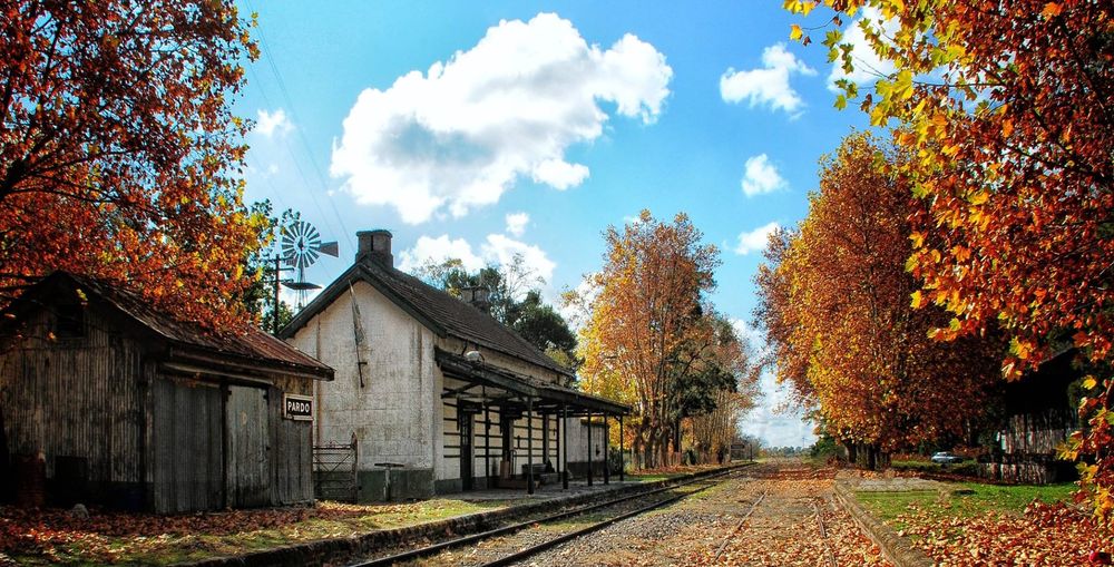 Los colores del otoño en la estación Pardo.
