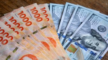 El dólar en la mira del Gobierno. (Xinhua)
