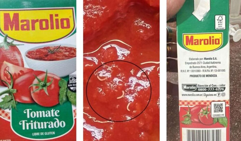 El tomate triturado en cuestión. (Anmat)