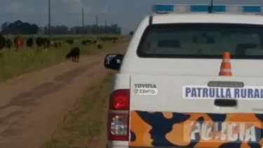 Tiroteo con efectivos del Comando de Patrulla Rural sobre la Ruta Provincial 32, en Pergamino.