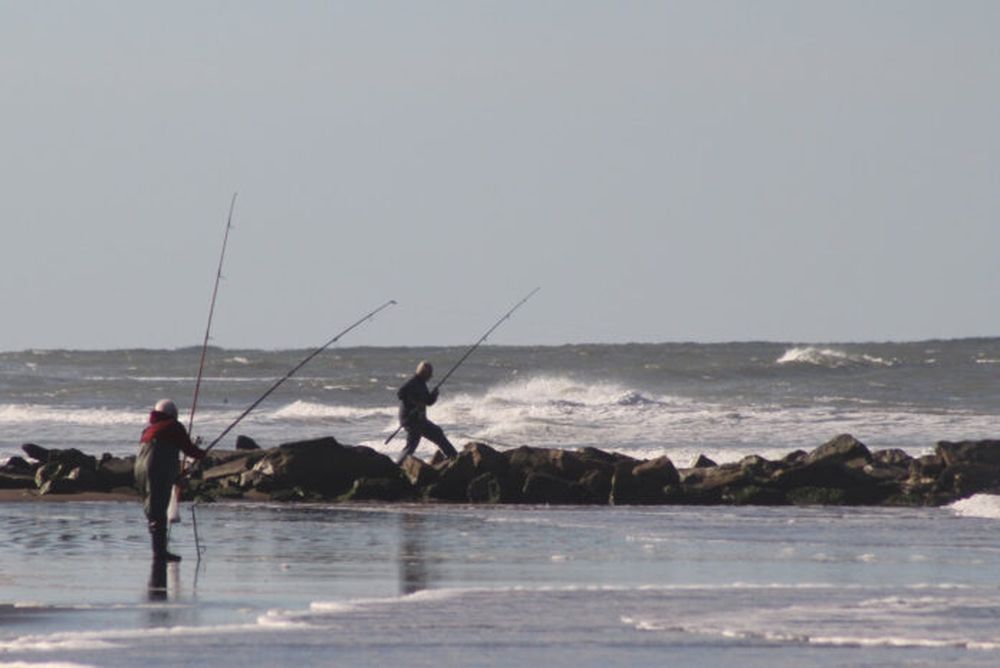 La pesca en la costa.