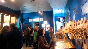 El nuevo espacio interdisciplinario en el Museo de Fauna Regional de la Estación Hidrobiológica de Puerto Quequén.